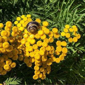 Meet your Posher, Leta